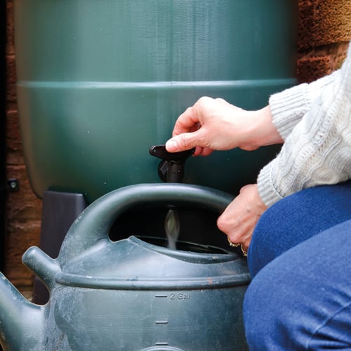 Bristol_Water_EDED_Website_800px_Garden