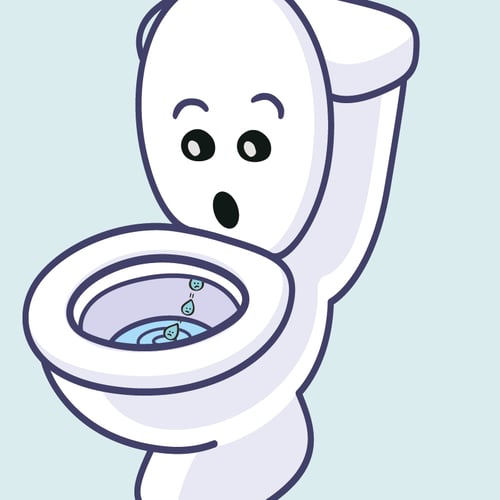 Bristol_Water_EDED_Website_800px_Loo