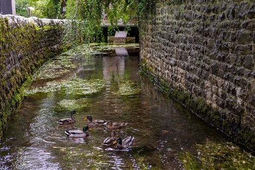 FINAL-EDIT---LowRes---8483---207