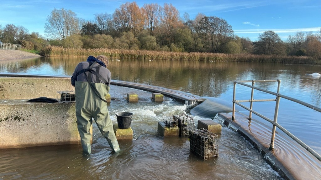 Bristol Water completes successful trial to remove harmful pollutants from Chew Valley Reservoir to improve water quality and boost resilience
