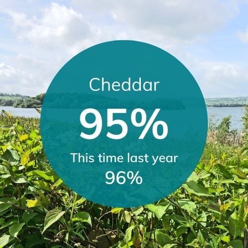 Res levels for Bristol (17)