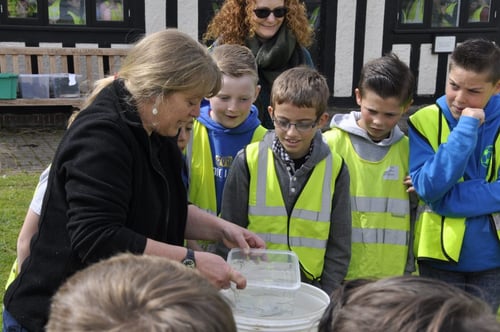 Children learning about eels